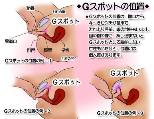 Gスポット開発とは？場所と位置の見つけ方 - 夜の保健室