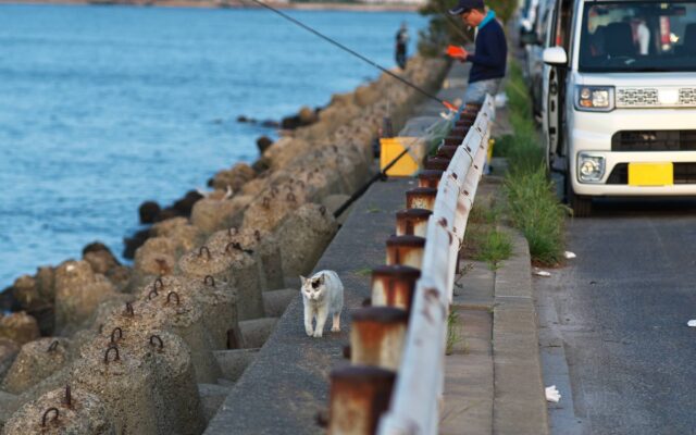 軽トラにロッドホルダー一海丸 船長のblog 旧オオガキ丸