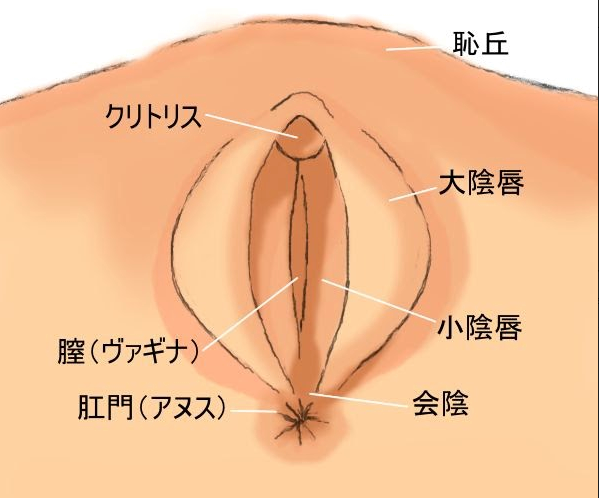 （個人撮影）素人カップルのいやらしい性行為、手マンが気持ちよくて可愛い声が出ちゃう、おフェラも上手