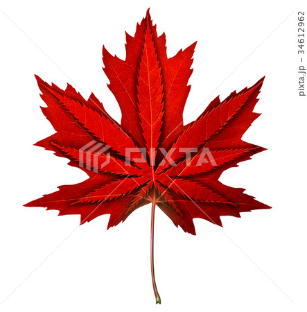 なぜカナダ国旗は「カエデの葉」が描かれているのか？尾登雄平 世界史ブロガー・ライター