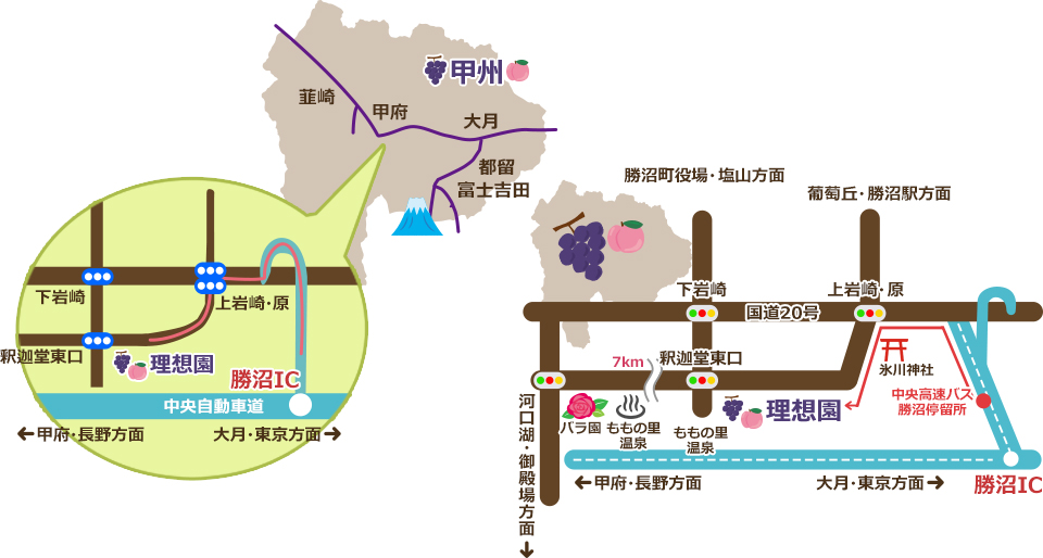 真夏の「勝沼ぶどう郷」へ電車で日帰り旅stay green