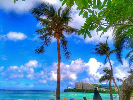 グアムへの入国