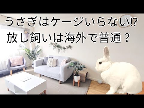 介護タクシーうさみみ | HOME