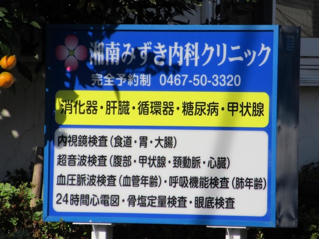 駿河屋 -【アダルト】<中古>実はMの素質アリ! 男の人を責めたくてデビューした南みずきちゃんが従順言いなりでハメまくった完全個撮映像 /