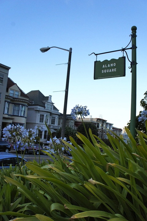 2025年 アラモスクエア - 出発前に知っておくべきことすべて -