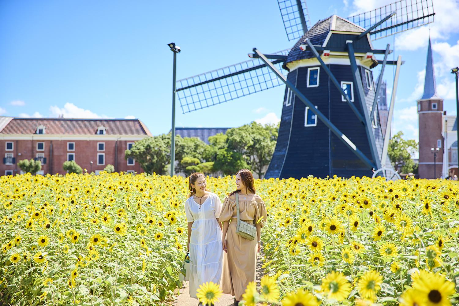 めっちゃオランダ！お花も残って園内満喫～長崎紀行１日目～＠ハウステンボス紅子のセレブなグルメ日記