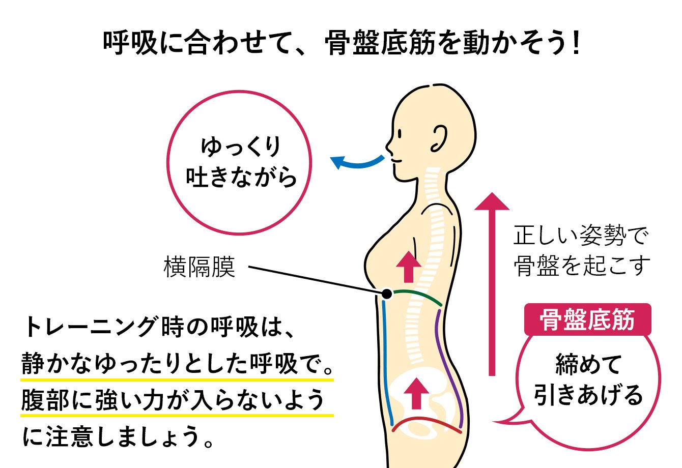 骨盤臓器脱 | 亀田メディカルセンター ウロギネ・女性排尿機能センター