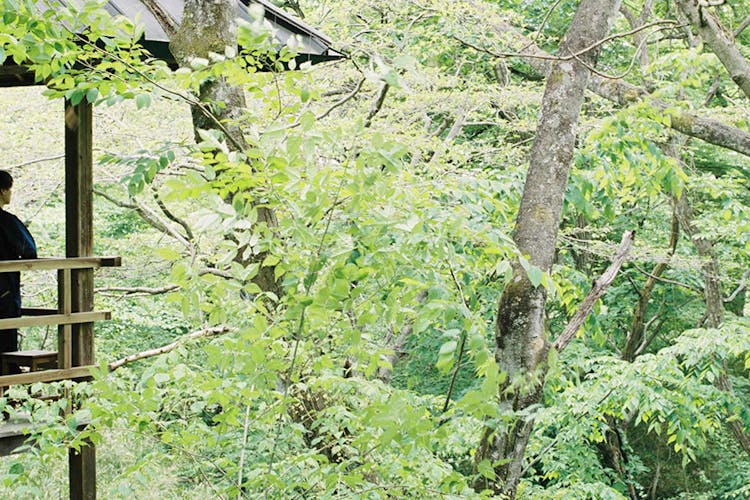 再訪はありえない - 温泉山荘 だいこんの花の口コミ