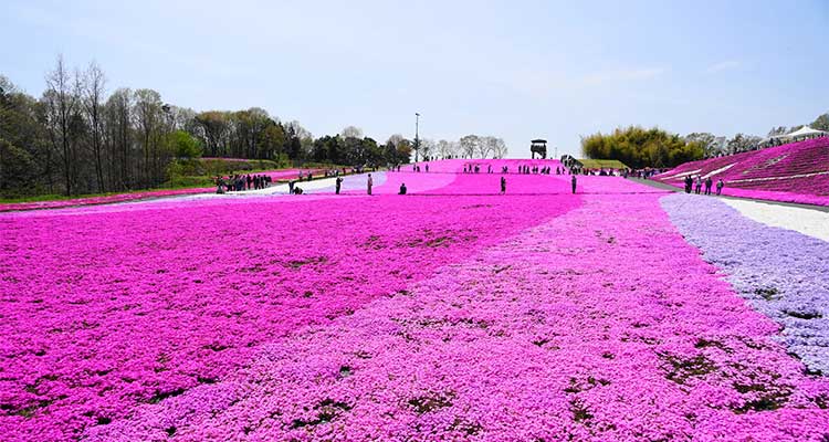 関東 ゴールデンウィーク GW