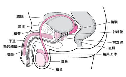 変態が解説】おマンコを上手に舐める事がセックスでとにかく大事！意識したいテクニックを伝授 | happy-travel[ハッピートラベル]