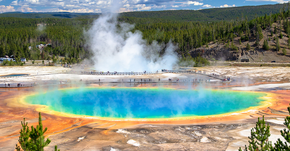 アメリカでは休日をどう過ごす？主な祝日や祝日の過ごし方をご紹介！ - ネイティブキャンプ英会話ブログ英会話の豆知識や情報満載