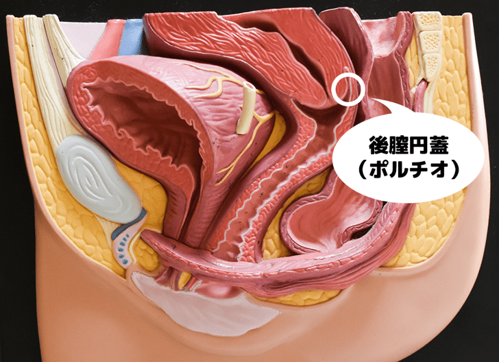 セックスでイクとはどんな感覚？女性がイク寸前にはどうなる？ | Ray(レイ)