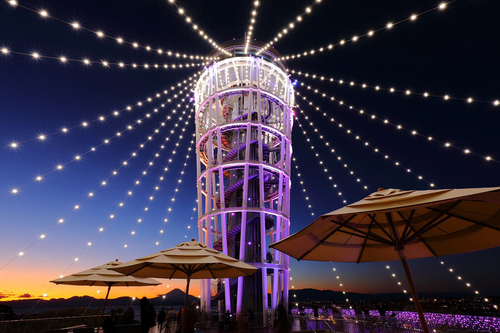 江ノ島で夏の夜間ライトアップのTikTok