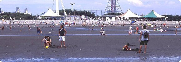 白石海岸 潮干狩り・マテ貝堀りイベント公式 福岡県の観光