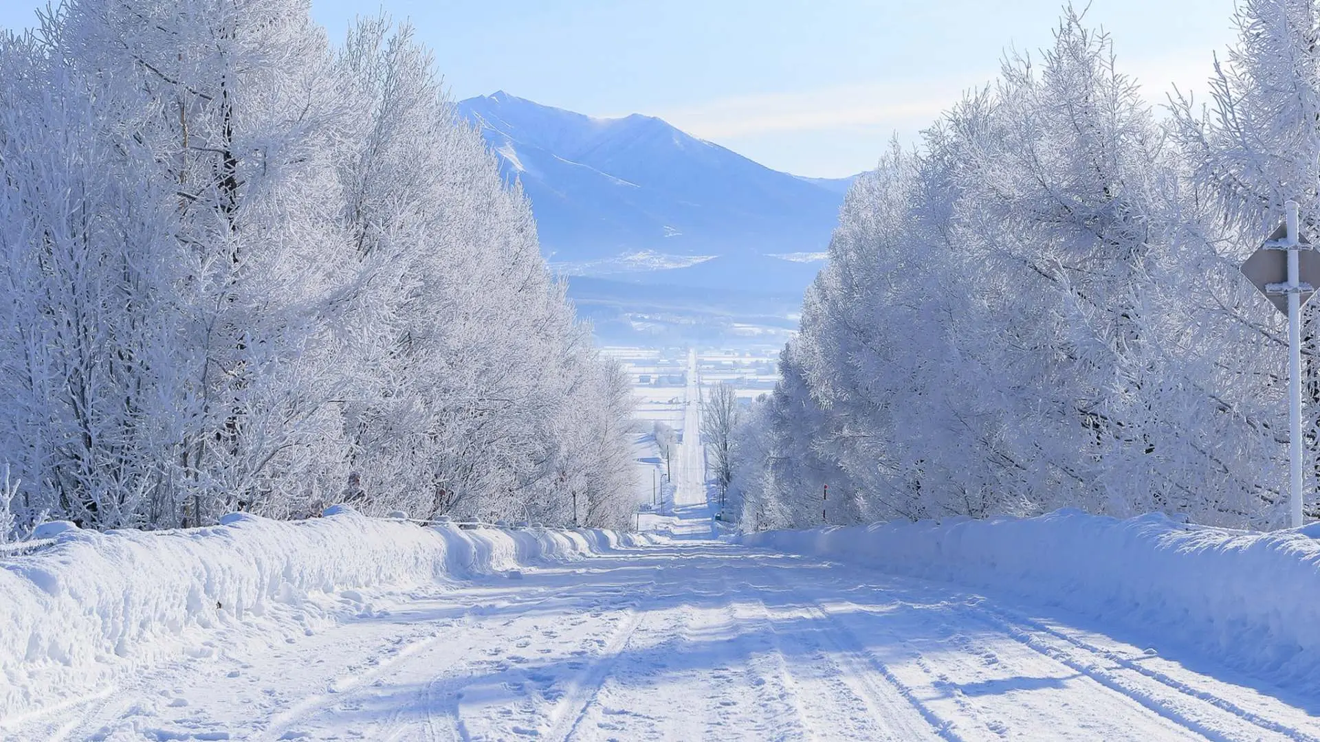 死ぬまでに一度は見たい「白銀の絶景」12選！冬の北海道ならではのイベントから幻の現象まで - 北海道Likers