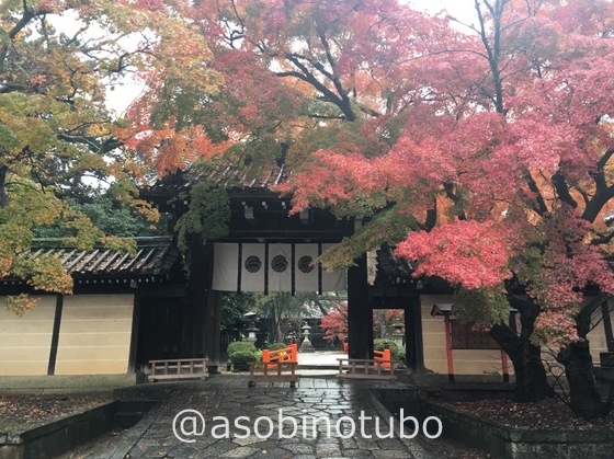 今宮神社 アクセス・営業時間・料金情報 - じゃらんnet