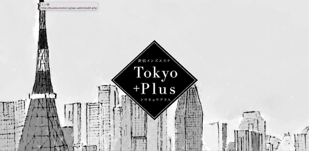 T+Plus（ティープラス）立川ルーム - 立川一般メンズエステ(ルーム型)求人｜メンズエステ求人なら【ココア求人】