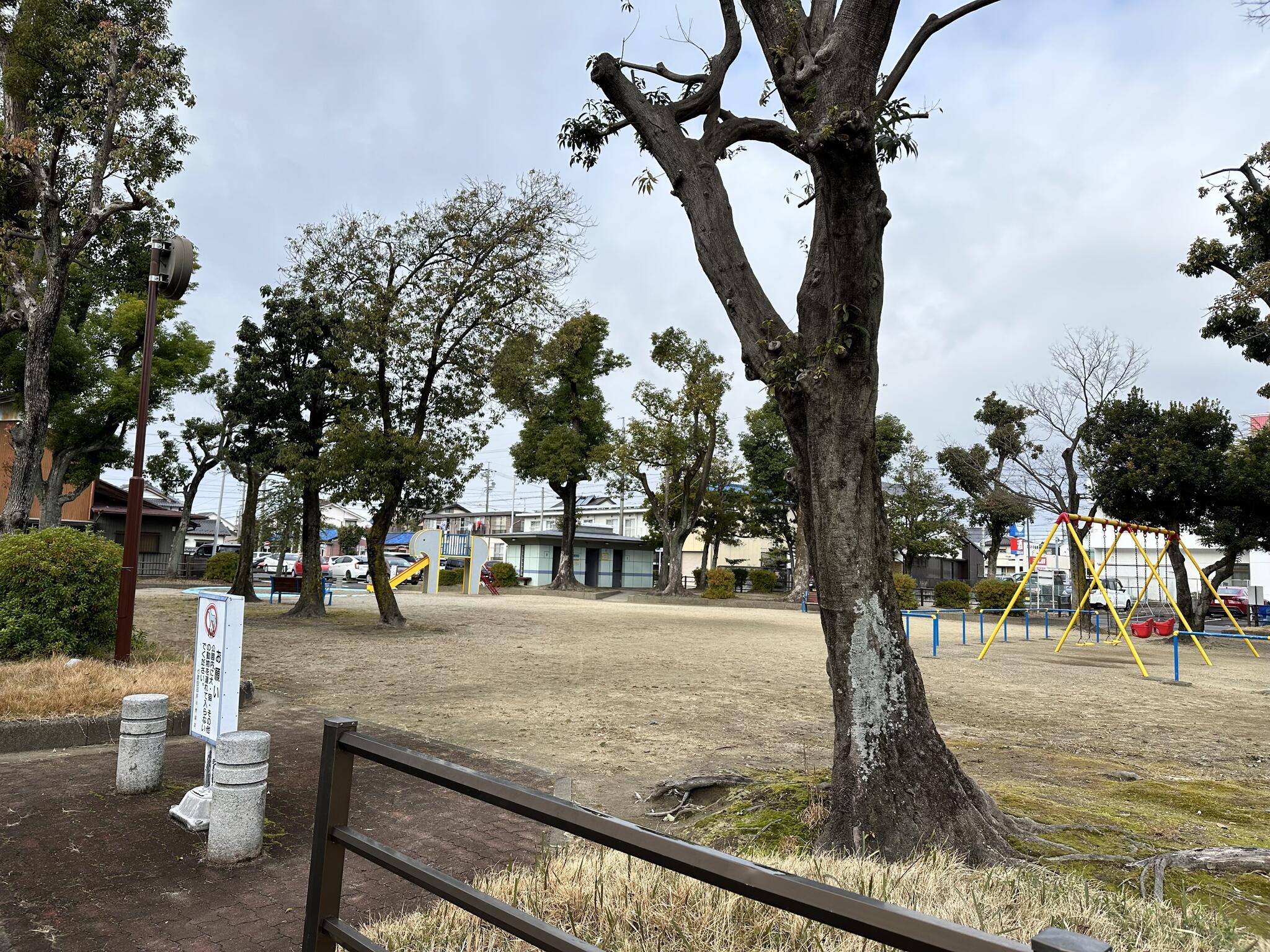 関西学生陸上競技チャンピオンシップ 本学選手が存在感発揮 -