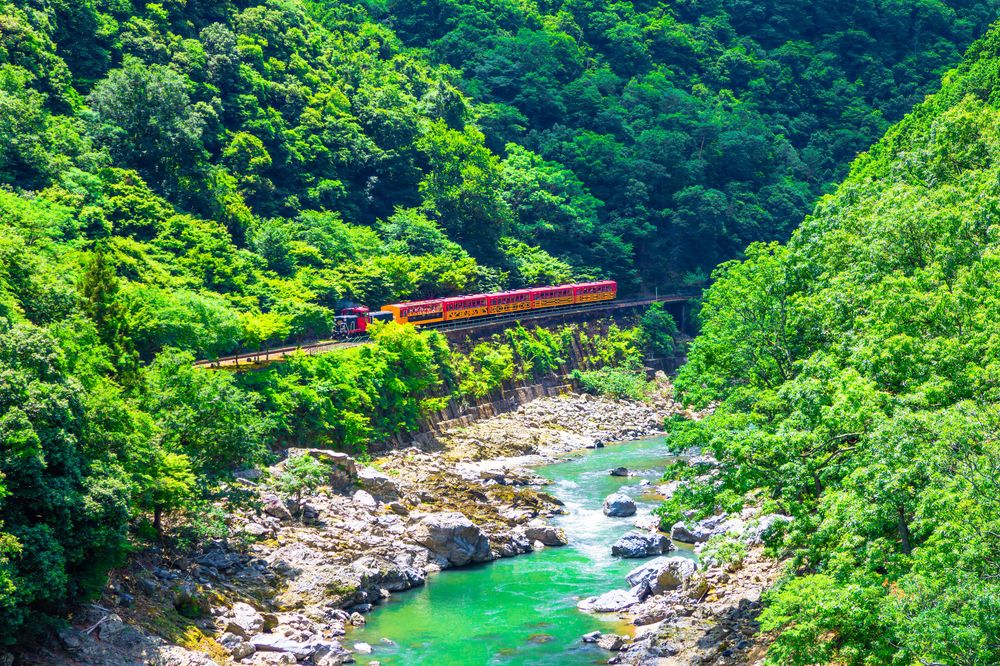 トロッコ運行開始！！本日よりトロッコ列車ゆうすげ号運行はじまりました！🚃 土日休中心に2往復です！春の訪れを感じにきませんかーー！ぜひご予約お待ちしております🫡 . ご予約はこちら↓ mt-torokko.com