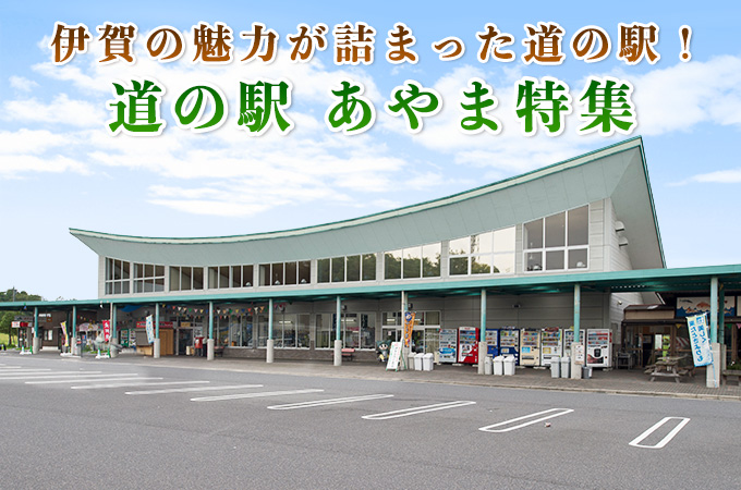 道の駅「いが」観光スポット観光三重 かんこうみえ