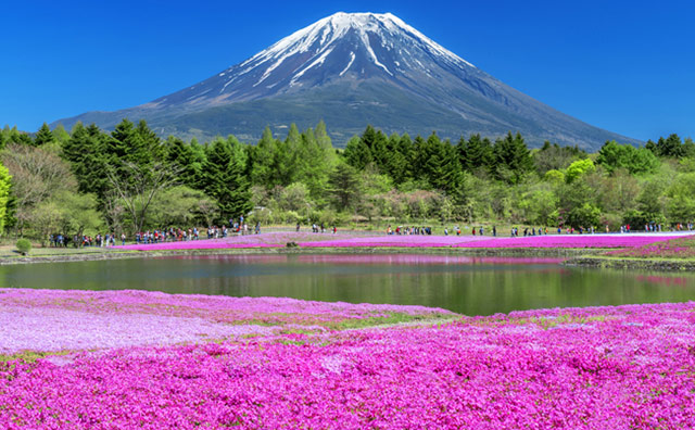 ゴールデンウィークの関東穴場スポット14選家族やカップルでのんびり楽しむ！ - Relux Journal