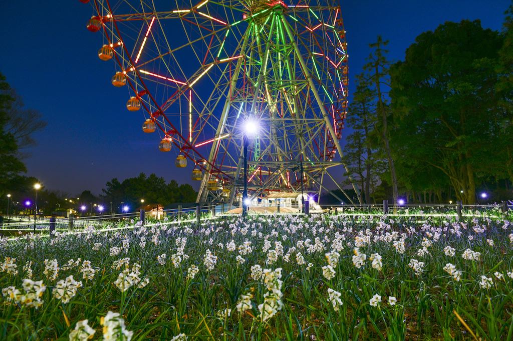 葛西臨海公園③ 蜷川実花ワールド |