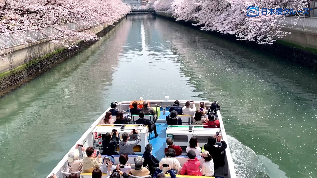 隅田川お花見クルーズと明治丸見学・大横川さくら散策』 クルーズ・ランチ付トピックス江東おでかけ情報局