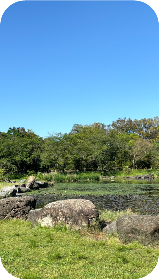 さいたま市見沼区 遊具の利用も可能に♪七里駅近くにできた新しい公園、「蓮沼なないろ公園」へ行ってみました！号外NET さいたま市見沼区・岩槻区