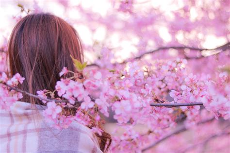 梅・桃・桜の花の見分け方 〜春の訪れを感じる花を見つけよう〜 | 保育と遊びのプラットフォーム[ほいくる]