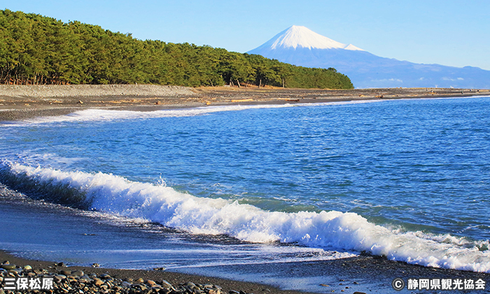 静岡の夜景スポット11選！定番から穴場までデートやドライブにおすすめの場所を紹介なっぷ