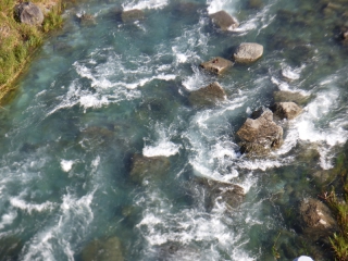 釣り情報嶺北漁業協同組合