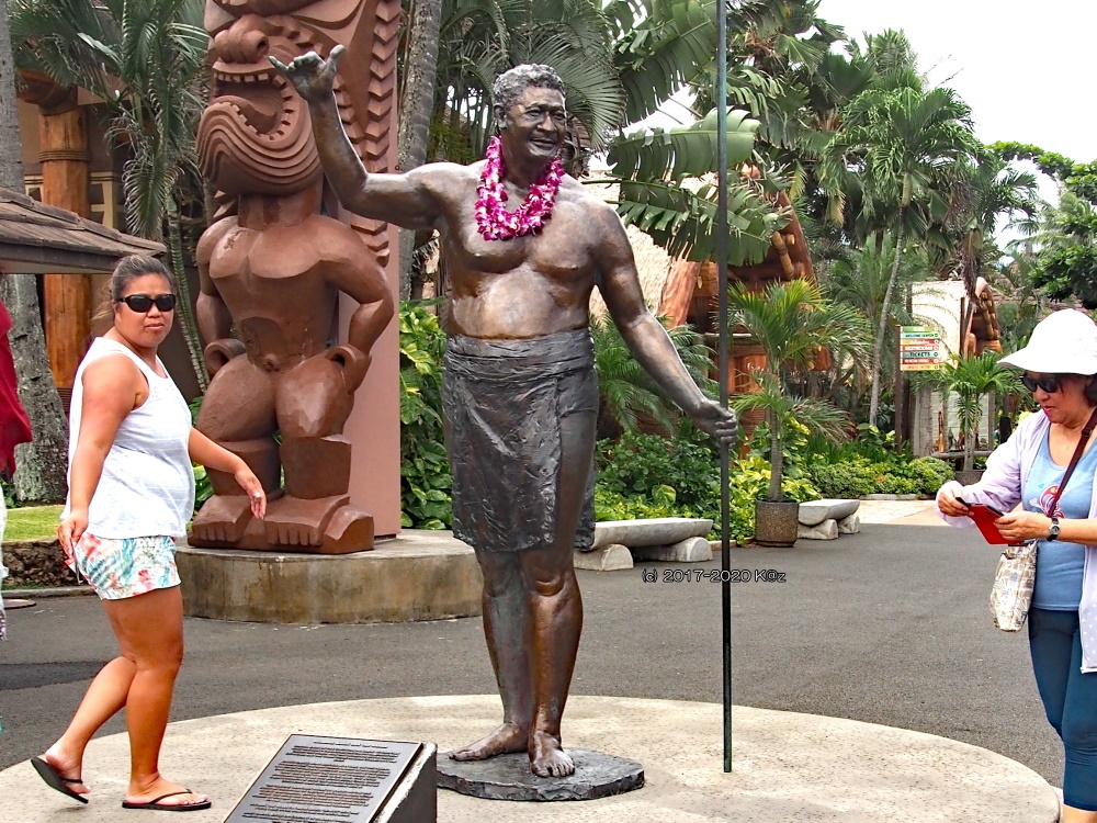 アロハポーズ 表向き- ハワイアンフォレストSpa京急川崎店〜ロミロミボディ＆ヘッドスパ〜 京急川崎駅