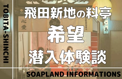 はじめての飛田新地 その1 ~ずらりと並ぶ巨乳美女たち~ | なるびむとワンダーランド