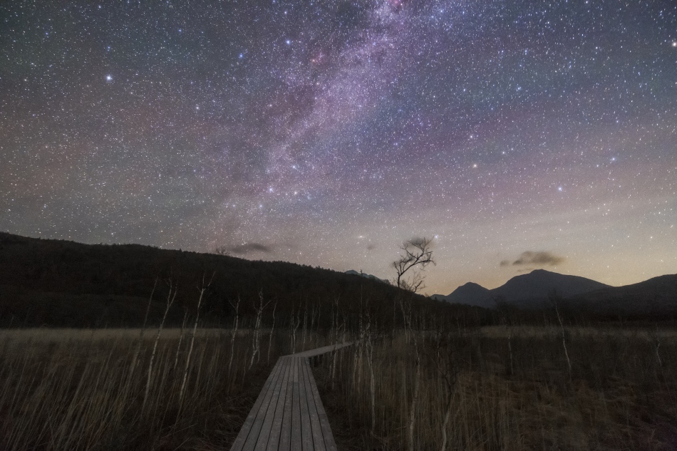 戦場ヶ原の星空は関東屈指の美しさ！おすすめの観測スポットなどをご紹介