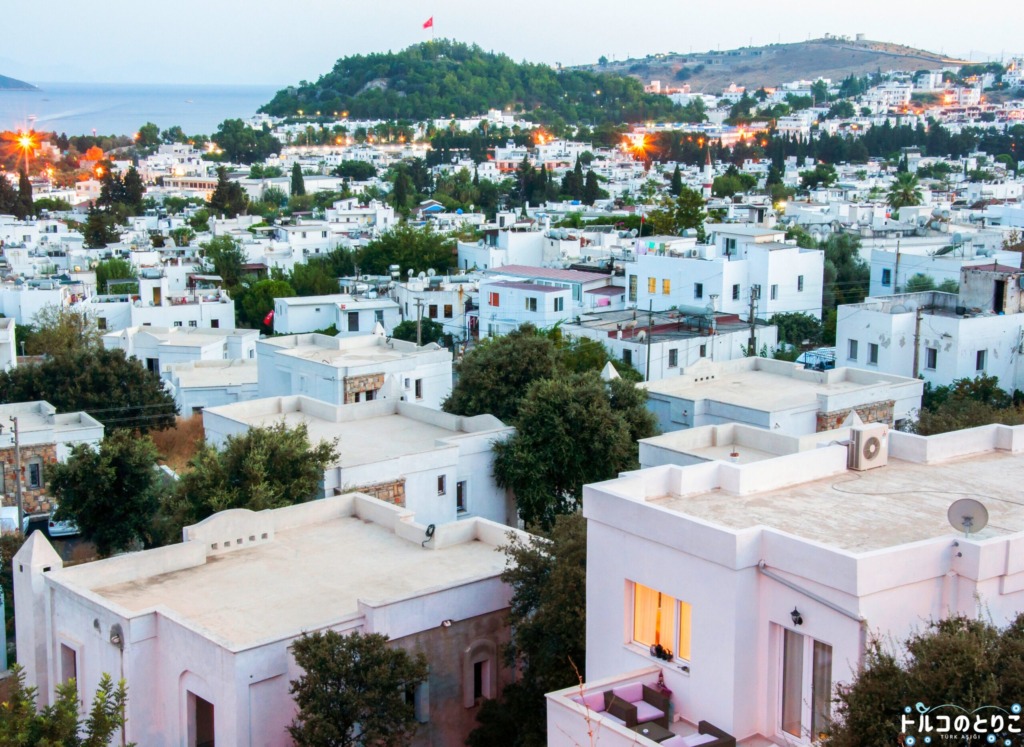 地中海・エーゲ海沿岸遺跡とイスタンブールを巡るトルコ周遊１０日間