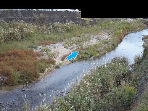 猪名川天文台にいってきましたたらちゃんの天体観測