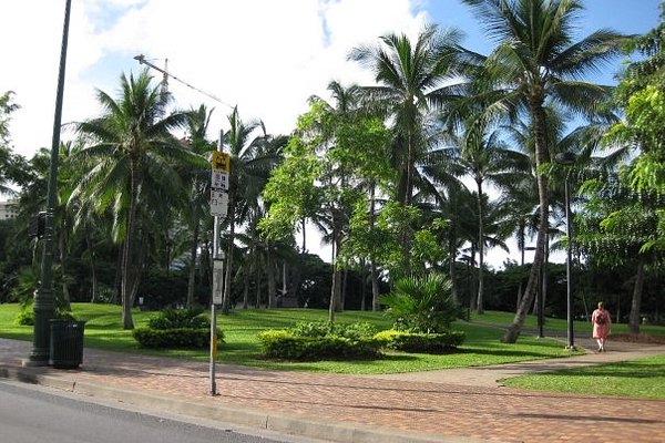 2022_11月 ハワイ旅 カピオラニ公園の例のベンチで過ごす朝 :