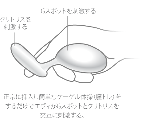 エネマグラとは？使い方とドライオーガズム - 夜の保健室