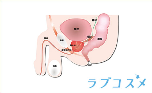 西日暮里メンズエステ総合 | メンズエステサーチ