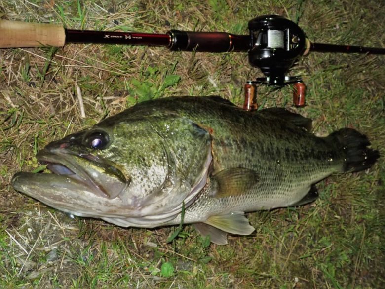 ☆ 琵琶湖 初冬の夜活総括！頭4本10㎏オーバーから導いた考察とは？