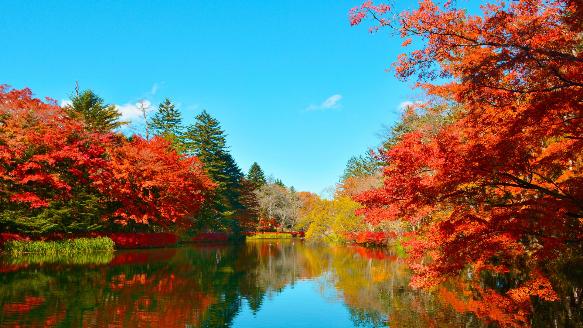 長野 秋の軽井沢で紅葉散歩＠ルシアン旧軽井沢 2021年10月