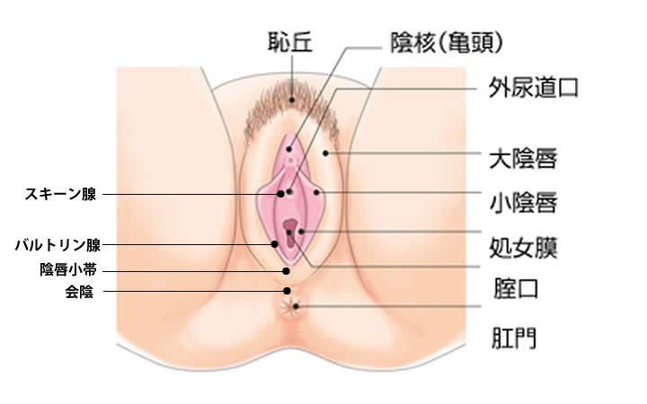 営業時間変更のお知らせ : クンニのやり方を学ぶ！【日暮里駅前クンニ塾】