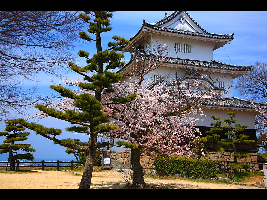 石垣の名城 丸亀城香川県丸亀市丸亀城