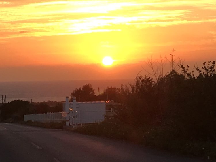 横浜駅直結の北欧カフェで癒しの時間を