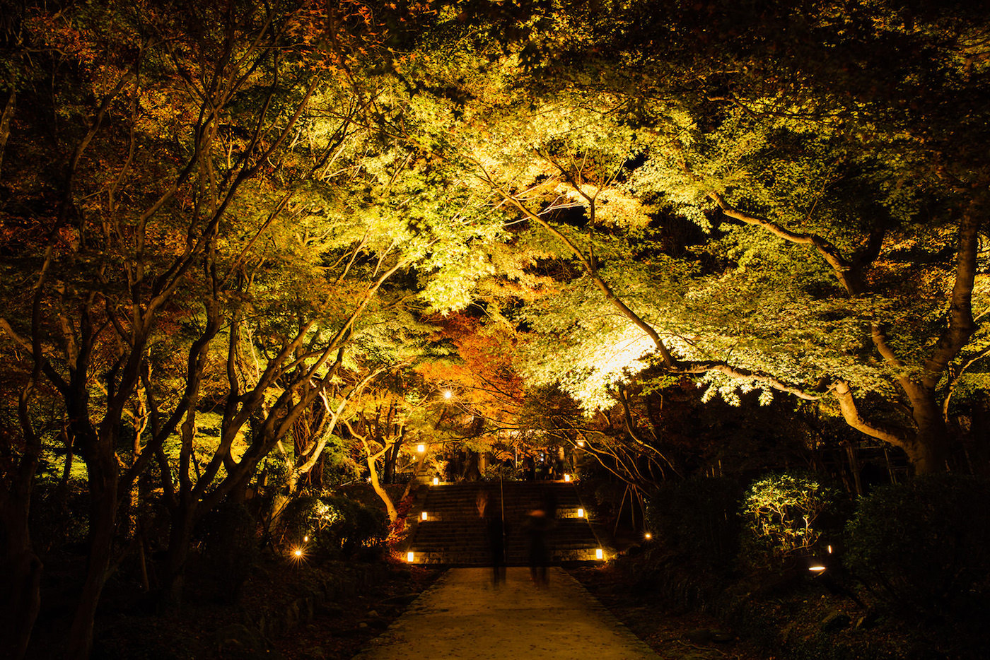 宝満宮竈門神社の紅葉 アクセス・イベント情報 -
