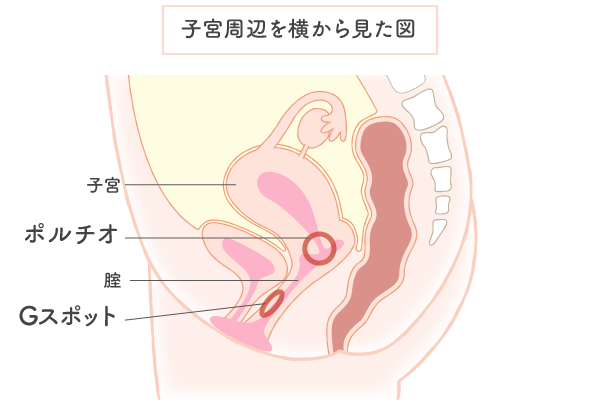 コレって演技？女の子が本当に「イク」瞬間を見極めるサインを伝授│【風俗求人】デリヘルの高収入求人や風俗コラムなど総合情報サイト |  デリ活～マッチングデリヘル～