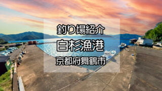 京都舞鶴 瑞翔 丹後半島で青物狙いあんこうの気ままな釣り日記