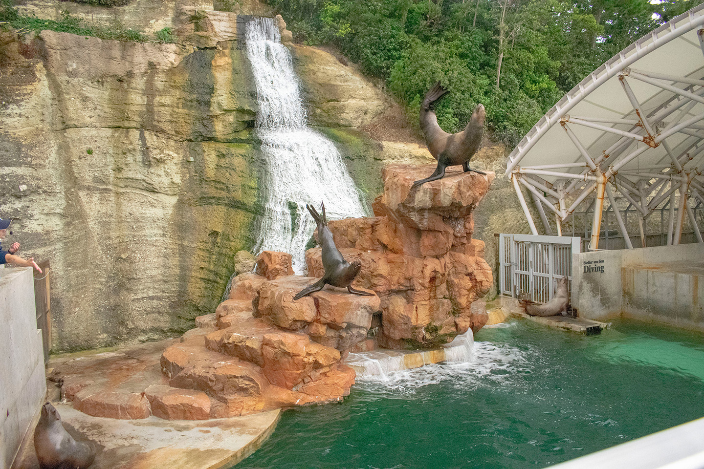 城崎マリンワールド周辺×いま最も売れている宿 おすすめホテル・旅館 -