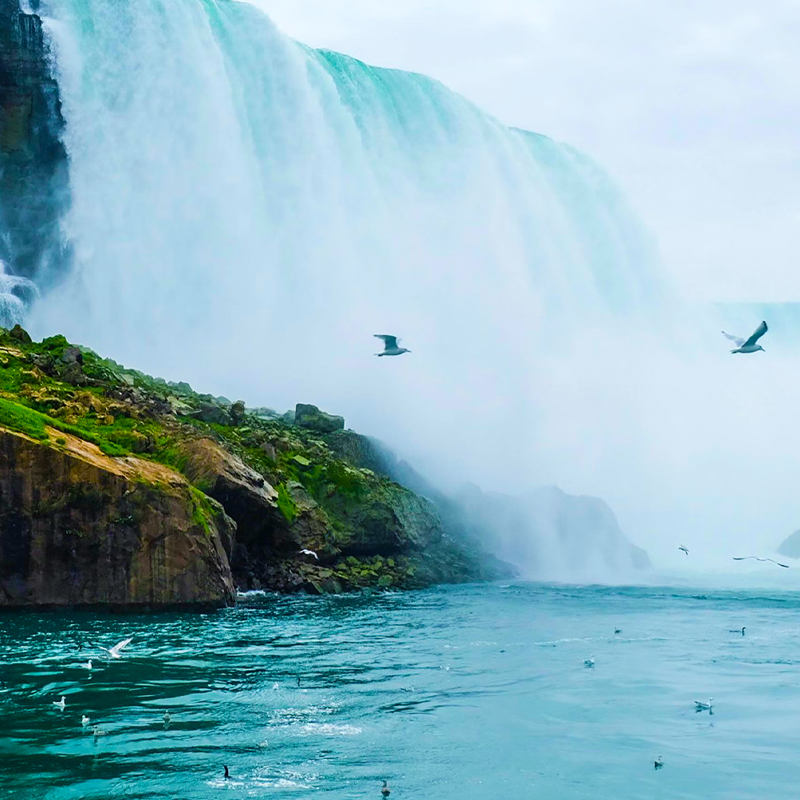 大都市からリゾート地まで！アメリカ東海岸のおすすめ観光スポット4選