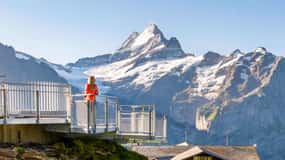 スイス グリンデルワルト観光人気のフィルスト山でのアクティビティの楽しみ方スイス滞在記